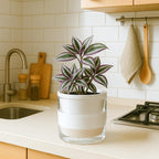 D'vine Dev 6 Inch Design Self Watering Planter - Image 8