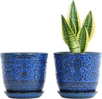 Gepege 6 Inch Ceramic Planter, Birthday by Gepege