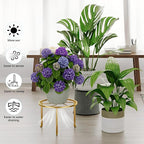 5 Pack Metal Potted Plant Stand Anti-Rust Iron Flower Pot Stands Outdoor Plant - Image 4