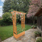 Raised Garden Bed with Wood Trellis Set of 2 Outdoor Planter Box - Image 2