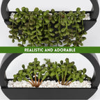 Floweroyal 2pcs Artificial Succulents Hanging Plants 12.2'' Fake String of - Image 4