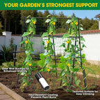 Cucumber Trellis, Metal Garden Trellis - Image 3