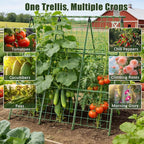 Miory Cucumber Trellis for Raised Beds, 48 x 48 Inch Metal A-Frame Garden - Image 8