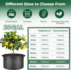 T4U 20 Gallon Grow Bags, Upgrade Fabric Grow Bags - Image 2