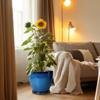 Ceramic Pots for Plants - Image 4
