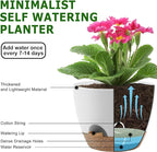 Plant Pots 10/9/8 Inch Self Watering Pots, Plastic Flower Pots, Nursery - Image 4