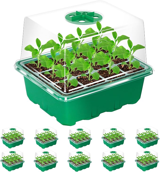 Bonviee 10 Packs Seed Starter Tray by BonvieeDirect