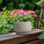 G EPGardening Ceramic Plant Pots - Image 4