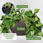 Dexceder 13.5 Inch Large Self Watering Hanging Planters Indoor Outdoor - Image 4
