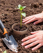 homenote Peat Pots, 3.15/4 Inch 120 Pcs Seed Starting Pots - Image 5