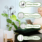 COOMIN 30'' Monstera Plant Support Outdoor, Metal Expandable Plant Supports - Image 3