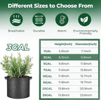 T4U 3 Gallon Grow Bags, Upgrade Grow Bags - Image 2