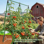 2 Pack Cucumber Trellis, A-Frame Vegetable Trellis - Image 7
