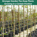 YDSL 100 Feet Soft Tie for Plants, 3 Pack Green Twist Garden Ties Gardening - Image 7
