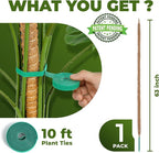 63 Inch Bendable Moss Pole Monstera Plant Support - Image 2