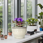 African Violet Pots Self Watering Round Ceramic Violet Pot - Image 8