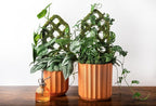 SuperMoss Plant Trellis - Image 6