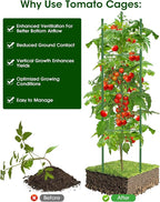 Tomato Cage for Garden, 6 Pack Tomato Trellis for Raised Garden Bed Height - Image 5