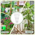 LEIFIDE 2 Pcs 33in Plant Trellis - Image 7