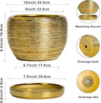 SQOWL Ceramic Planter for Indoor Plants - Image 3
