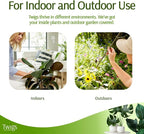 Mini Twigs Plant Support Stakes - Image 6