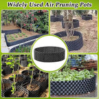 Air Pruning Containers 60 Gallon 2P New Plastic Nursery Pot Fruit Vegetable - Image 2