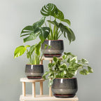 G EPGardening Ceramic Planters - Image 8