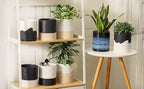 Nihow Self Watering Planter Accessory Set - Image 7