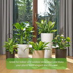 4 Pcs Small Metal Trellis for Potted Plants, Mini Trellis for Potted Plant - Image 2