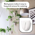 Make Good PlantPod Luxe Self-Watering Wall Planters - Image 4