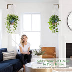 Hanging Planter Self Watering 10 Inch, 2 Pack Hanging Baskets - Image 2
