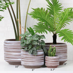8 Inch + 6 Inch Ceramic Plant Pots Indoor - Image 7
