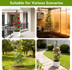 2 Pack Garden Trellis for Climbing Plants Outdoors, 70inch Tower Obelisk - Image 6