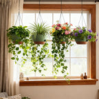 4 Pack 8 Inch Self Watering Hanging Planters - Image 2