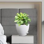 12 inch Large Self Watering Pots, Flower Plant Pots - Image 7