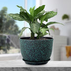 12 inch Large Plant Pots, Plastic Planters - Image 5