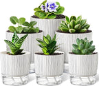 6 Pack Self Watering Pots for Indoor Plants, Flower Planters by Unknown