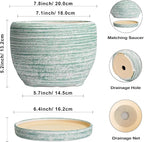 SQOWL Ceramic Planters for Indoor Plants - Image 3