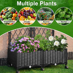 Raised Garden Beds with Screen Outdoor, Garden Trellis - Image 4