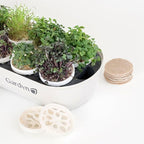 GARDYN Complete Microgreens Growing Kit - Image 8