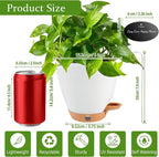 6 Inch Self Watering Pots for Indoor Plants – Small Plastic Planters - Image 6