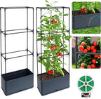 2 Packs Raised Garden Bed Tomato Planter Box by Biotolot