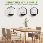 Wall Planters for Indoor Plants, Plant Frames Wall Decor Living Room Plant - Image 3