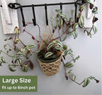 2 Packs Hanging Planters for Indoor Plants up to 6 in., Wall Plant Holder | - Image 3
