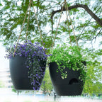 8 inch Hanging Planters, 2 Pack Self Watering Hanging Pots - Image 5