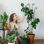 32.6in Plant Trellis for Climbing Plants Indoor, Expandable Large Metal Trellis - Image 4