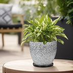 Ceramic Planter - Image 4