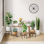 5 Pack Metal Plant Stand Indoor Outdoor Heavy Duty Rustproof Iron Flower Pot - Image 2