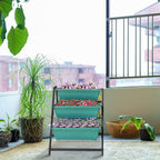 Vertical Garden Planter, Raised Garden Beds Outdoor - Image 8