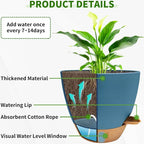 12/10/9/8 inch Self Watering Pots - Image 3